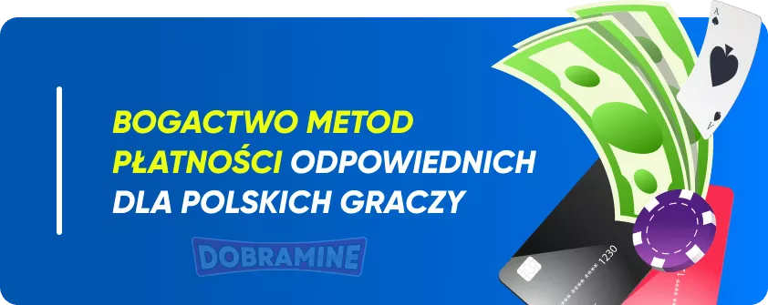 Opcje płatności iWild Casino dla Polskich Graczy