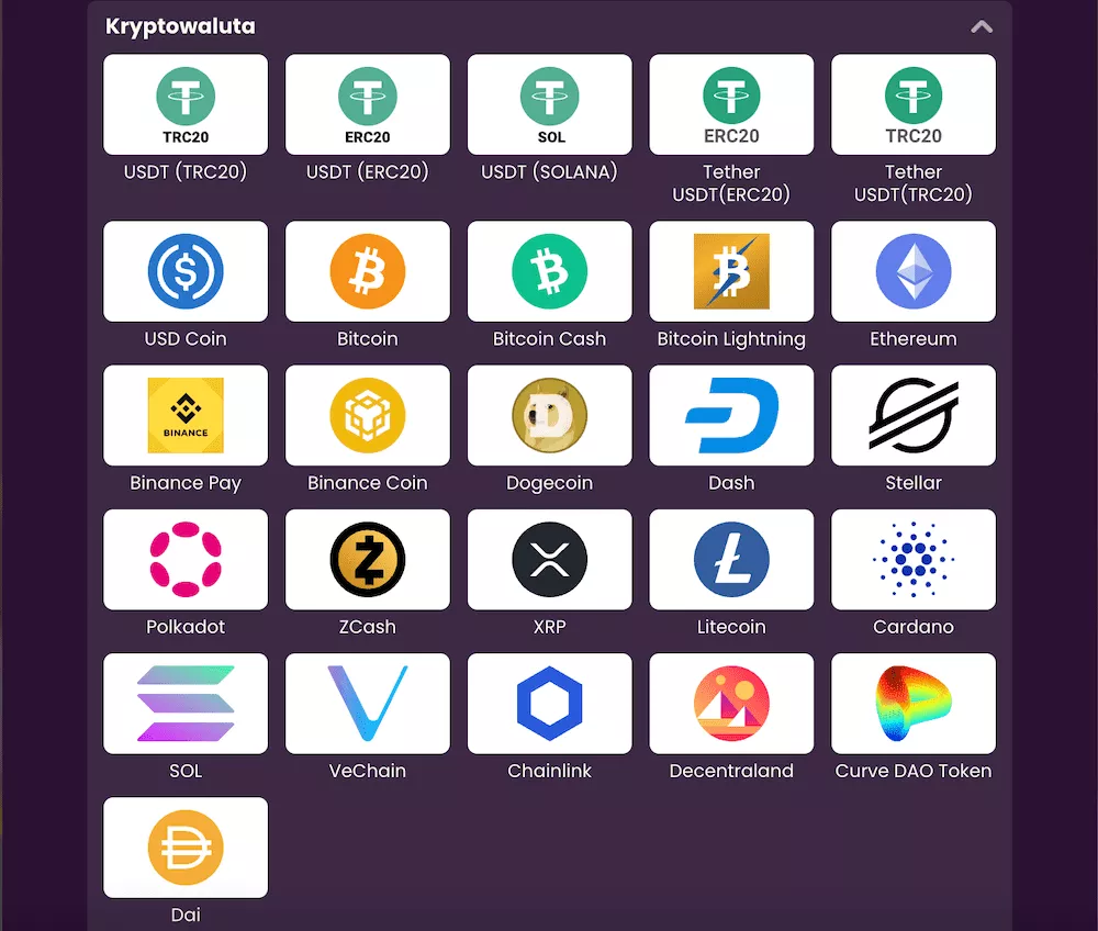 Bizzo Kasyno - Krypto