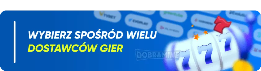 Dostawcy Oprogramowania