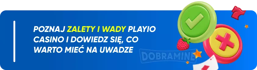 Zalety i wady grania w kasynie Playio