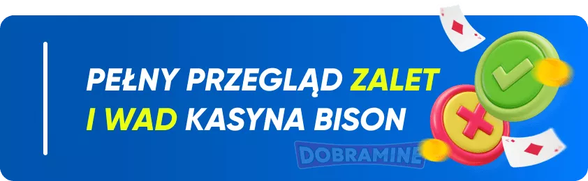Główne zalety i wady kasyna online Bison